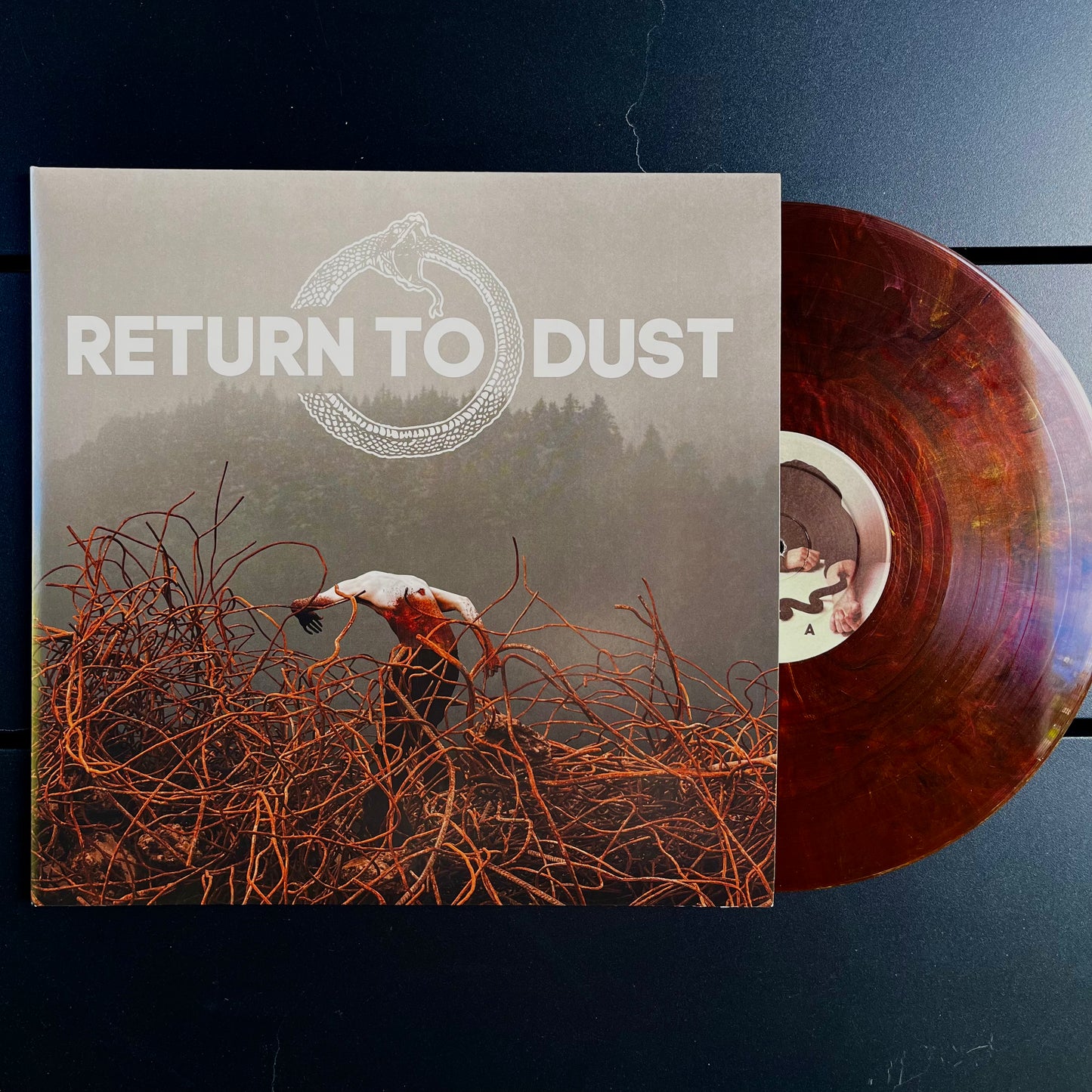 Return to Dust LP Vinyl - Sunburnt