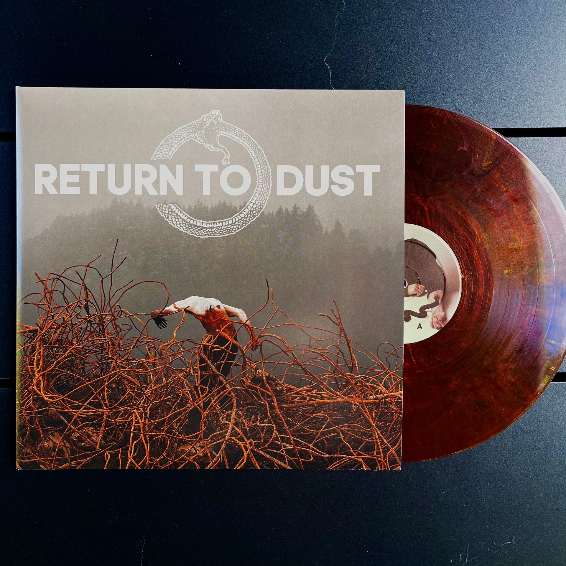 Return to Dust LP Vinyl - Sunburnt – Return To Dust